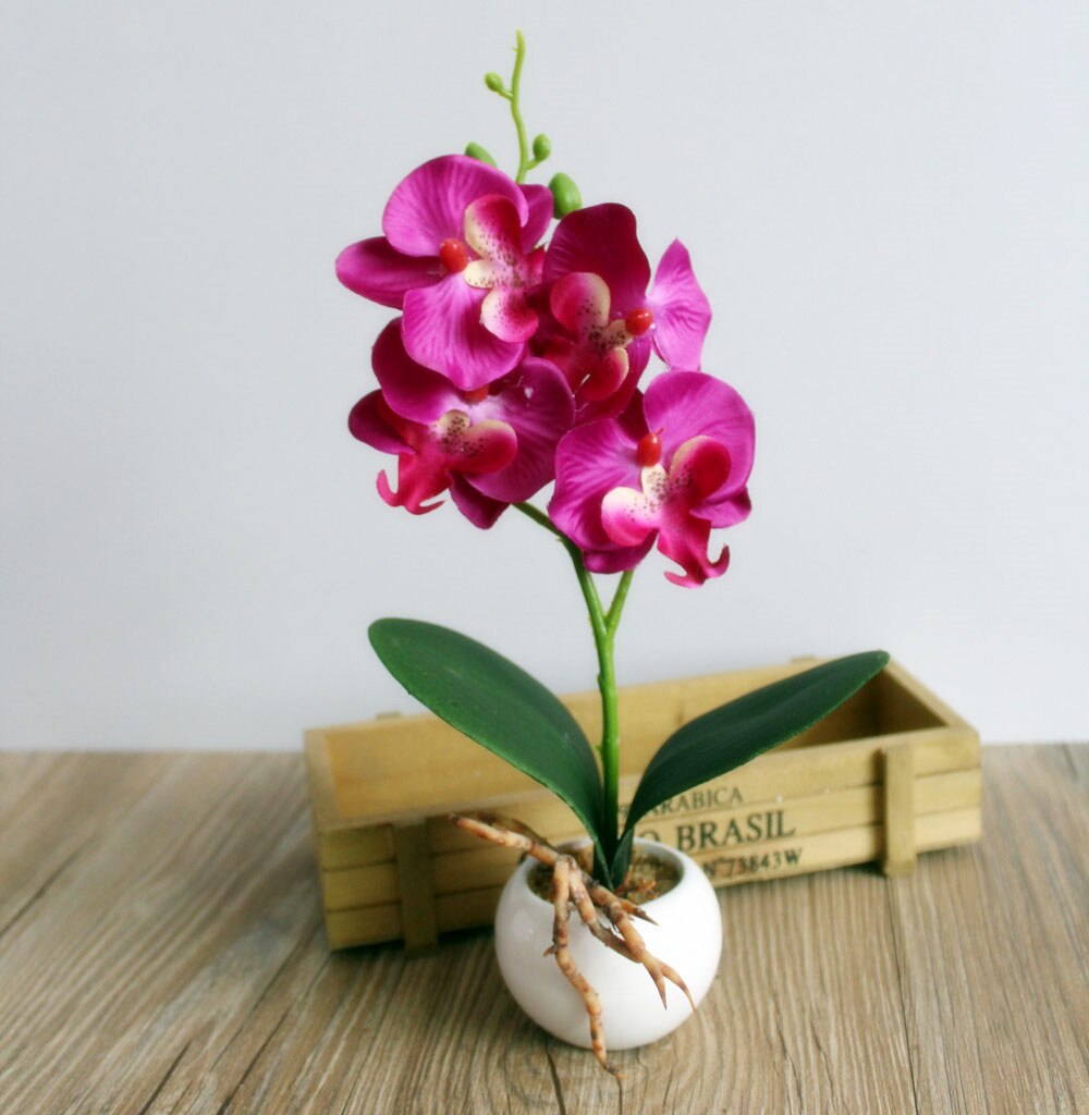 Arranjo com Vaso Decorativo Artificial Bonsai Flor Da Orquídea Phaleanopsis: C
