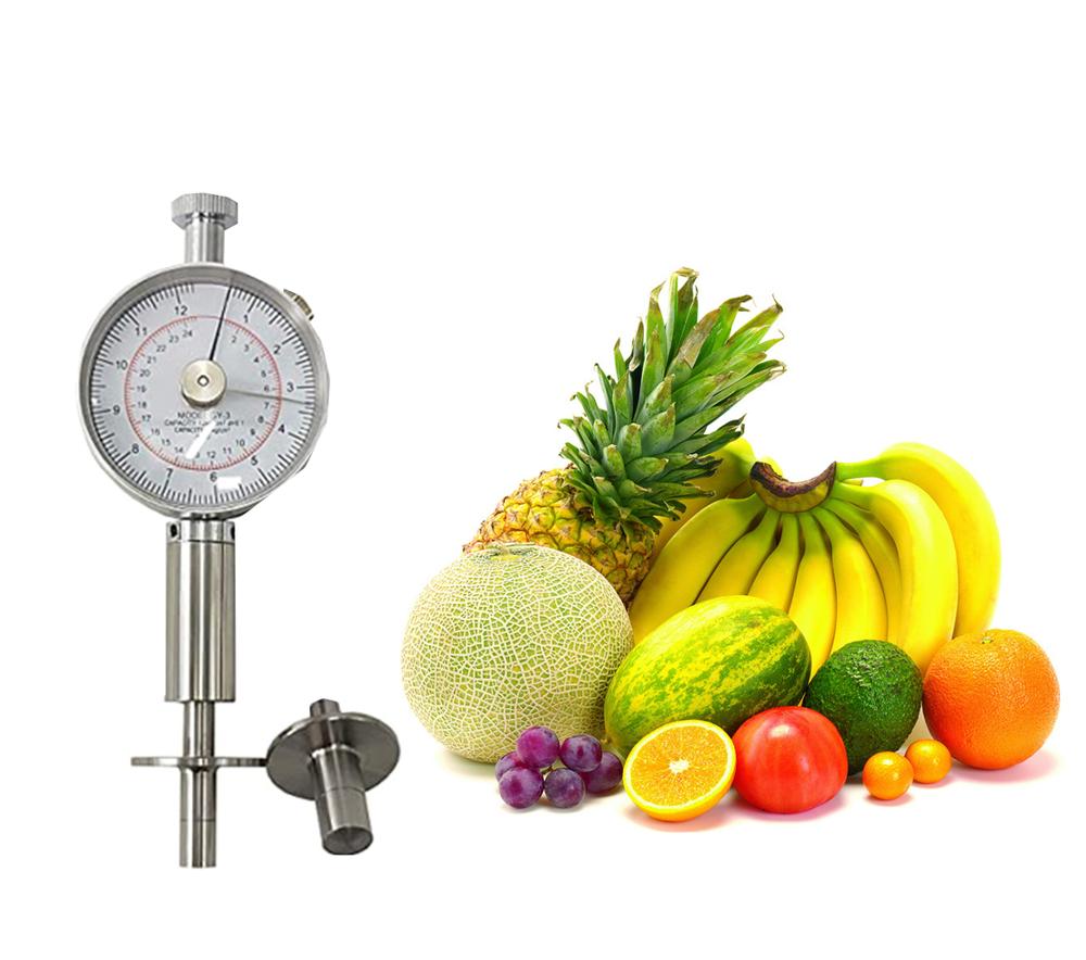 GY-3 analogique 0.5 à 12 kg/cm 2 testeur de dureté de fruits scleromètre pénétromètre