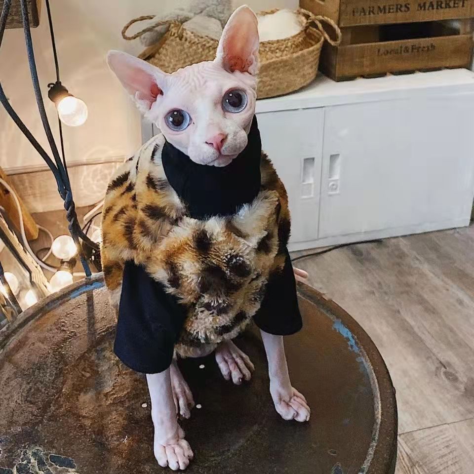 Sphynx Cat Jacket Warm Cat downThickened Double-side Fleece Sest Hairless Cat Clothes Cat Vest for Devon,Cornish,Small Dogs: Short Sleeve Coat / XXL