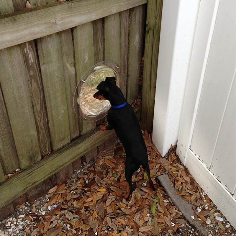 Hundehegn vindue klart udsyn kuppel kæledyr kig vindue xl størrelse til hund/kat/hest