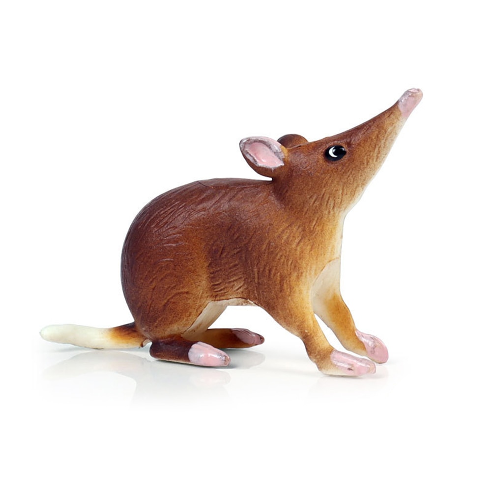 Realistisk mus rotte opossum dyremodel figurer skrivebordsindretning uddannelse børnelegetøj: 1 opossum