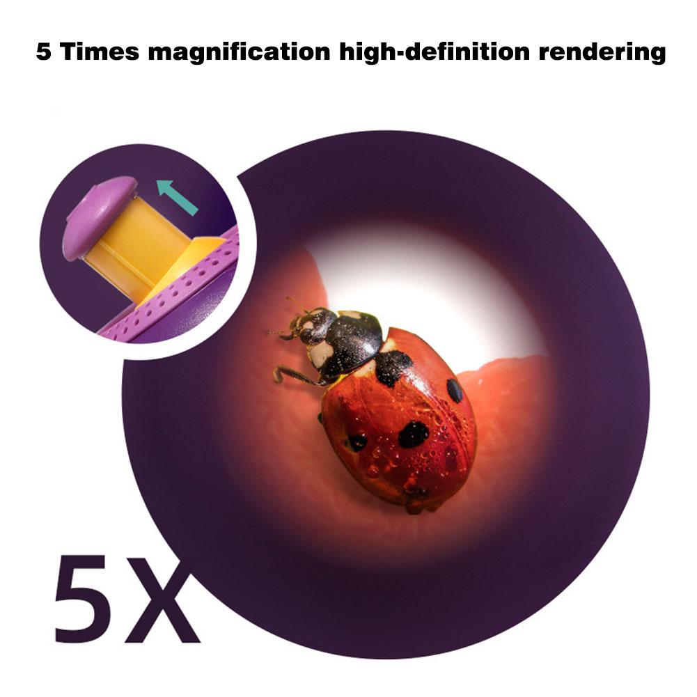 Portable Small Fish Tank Plastic Transparent Insect Observation Box Biological Experiment Magnifier For Kids Children