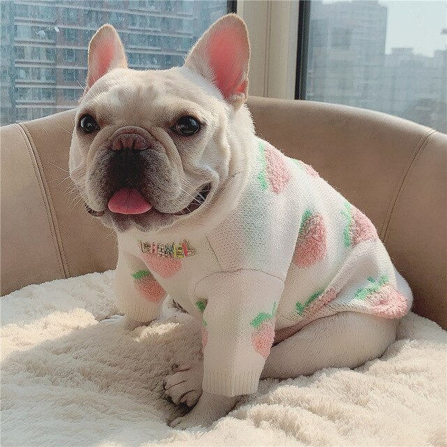 Huisdier herfst/winter trui voor katten en honden perzik print kleding corgi hond schnauzer teddy kleine middelgrote hond kleding