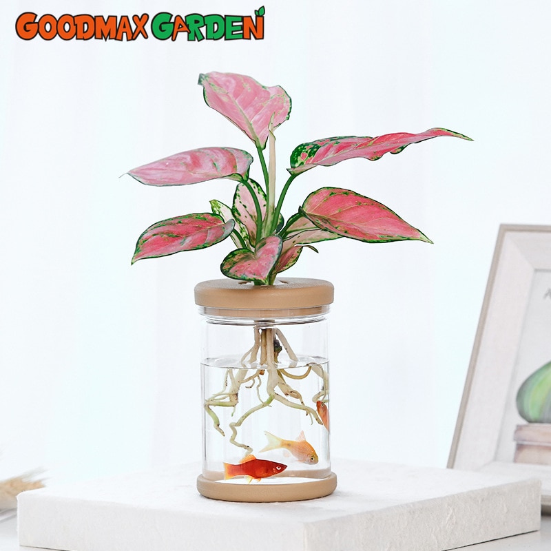 Lazy Transparent Flower Pot Hydroponic Automatic Water Absorption Flower Pot Imitation Glass Soilless Planting Potted Plants