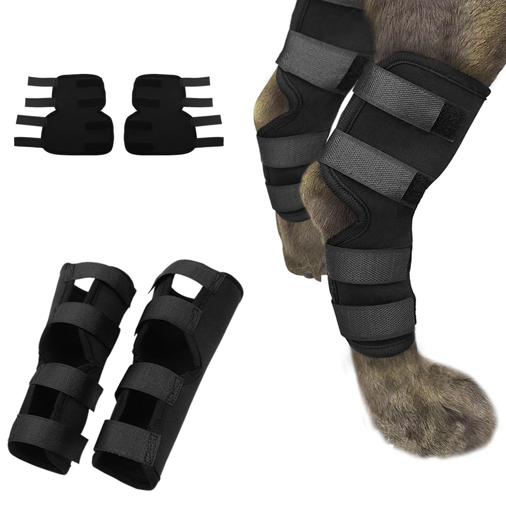 Hond Herstel Mouw Knie Pad Grote Hond Ondersteuning Enkelbrace Ademend Achterbeen Spronggewricht Gezamenlijke Wrap Letsel Herstellen Hond Benen protector