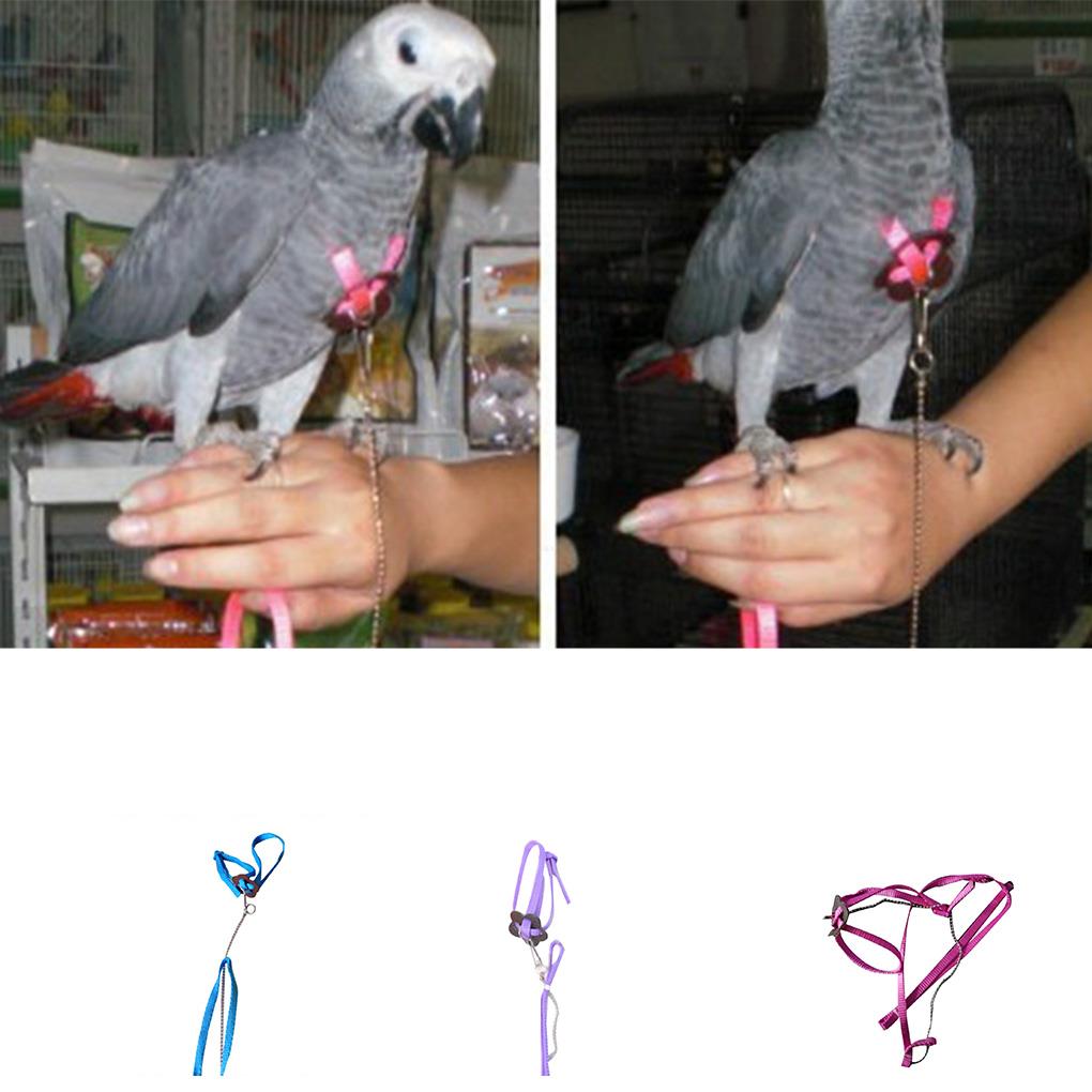 Nylon Pet Harness Leash Voor Hamster Verstelbare Fret Rat Muis Bunny Harnassen Vest Lood Touw Leash Cavia Huisdier Accessoires