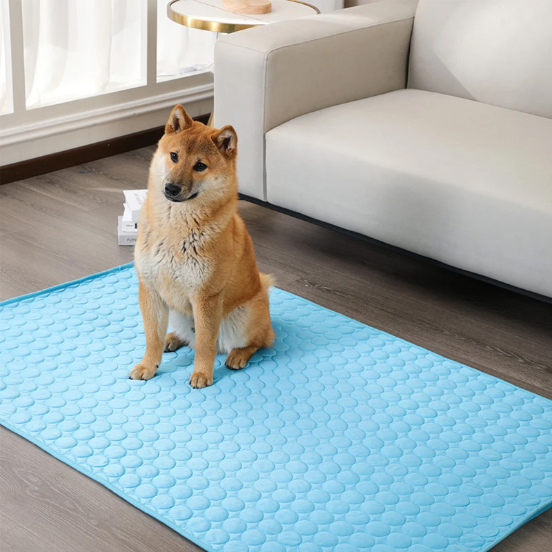 Sommer-Kühlmatte für Hunde und Katzen, Isomatte für Hunde, kühle Eisseide, feuchtigkeitsbeständiges Matratzenkissen, kleines Ebene-Kaltbett, 5 Größen