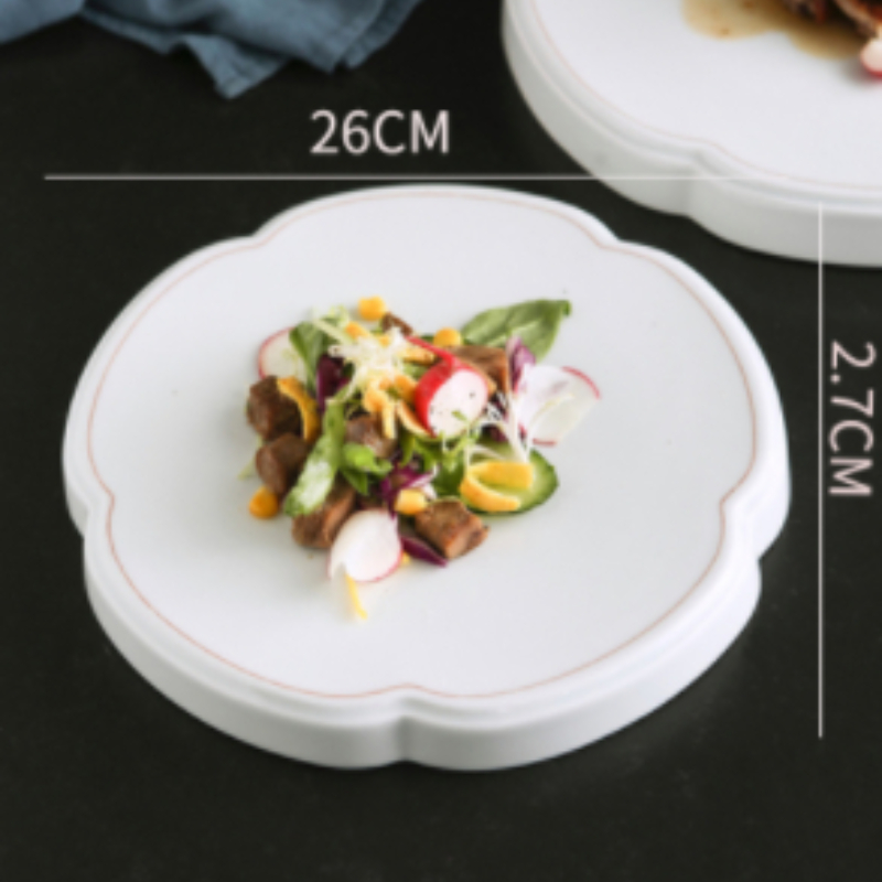 Keramische Speciale-Vormige Display Plaat Westerse Restaurant Platte Plaat Hotel Artistieke Conceptie Schotel Keuken Fruit Sushi Plaat