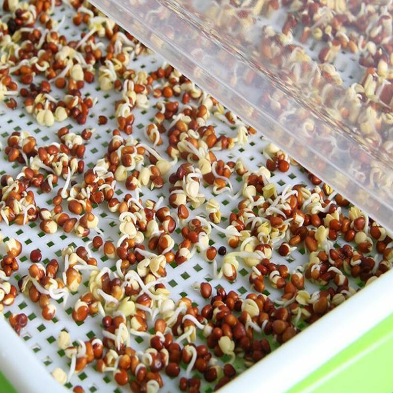 Sistema hidropónico, bandeja de plántulas, germinador sin cola, semillas vegetales, caja de cultivo de raíz, gran capacidad, protector de cultivo para jardín