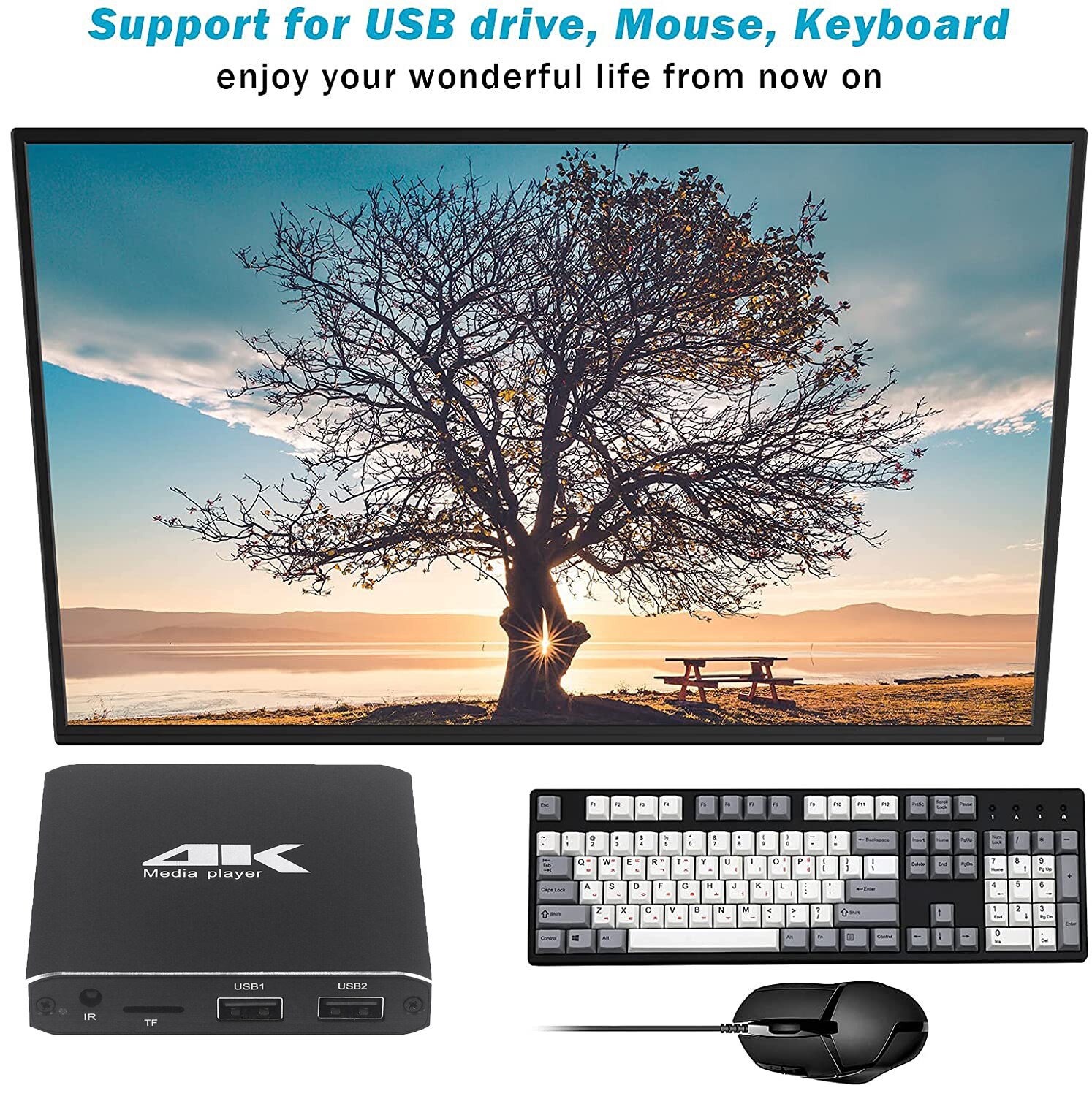 Mini 4K H.265 Advertising Player With TF/AV/HDMI/USB Disk 1080P Full HD Media Player Support Mouse Multimedia Players