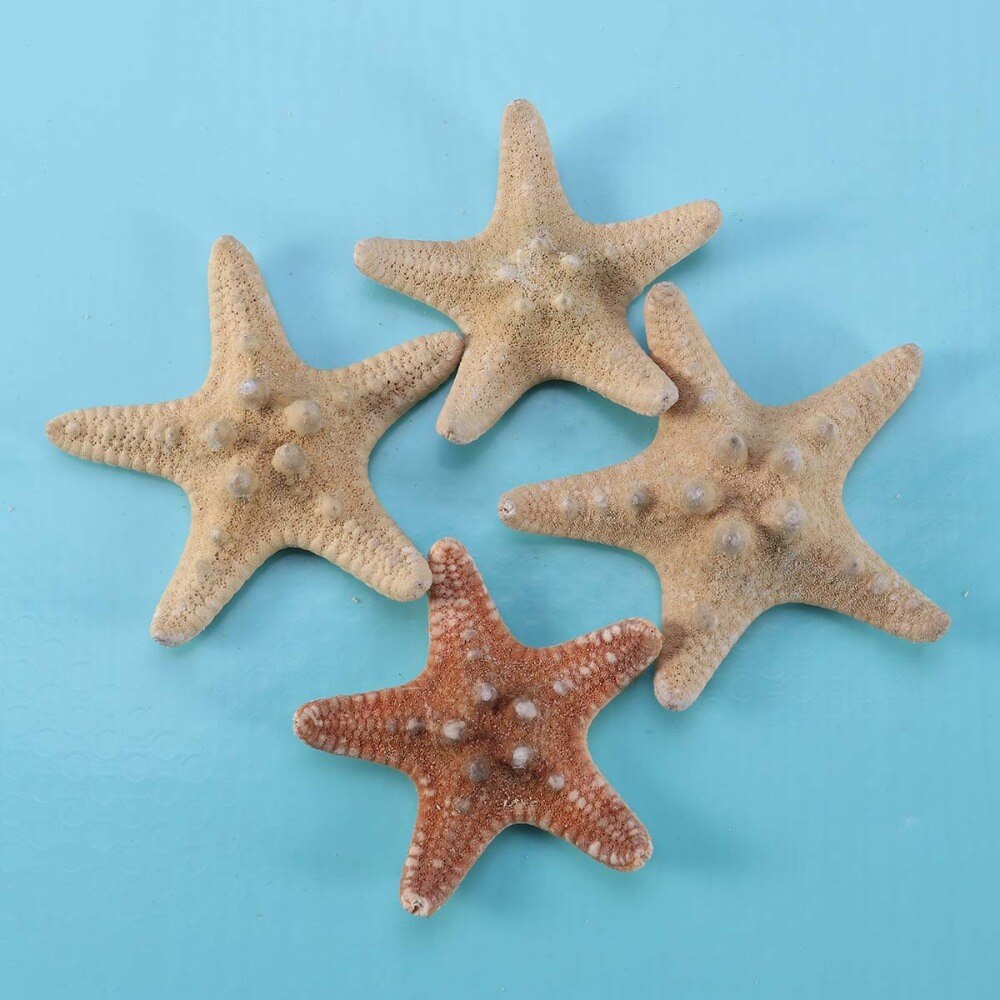 4 stuks zeester knutsels decoratie diy strandhuisje decoratie schelpen voor bruiloft fotografie feest huisdecoratie (4-6cm)