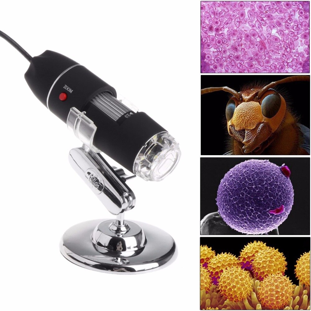 1600X Mikroskop 8 LED USB Digital Handheld Lupe Kamera Handheld Lupe