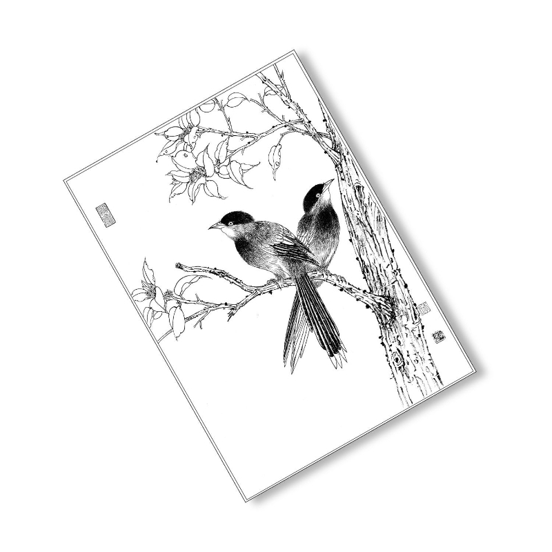 Meticulous Painting Line Drawing Manuscript Traditional Chinese Painting Flowers Birds Characters Animals Line Draft Rice Paper