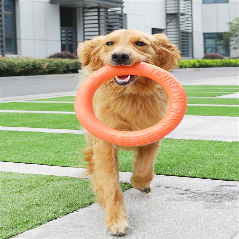 Dogs Toys Pet Rally Ring Molar Teeth Cleaning Toy Large Dog Side Shepherd Labrador Interactive Training Toys Dog Accessories