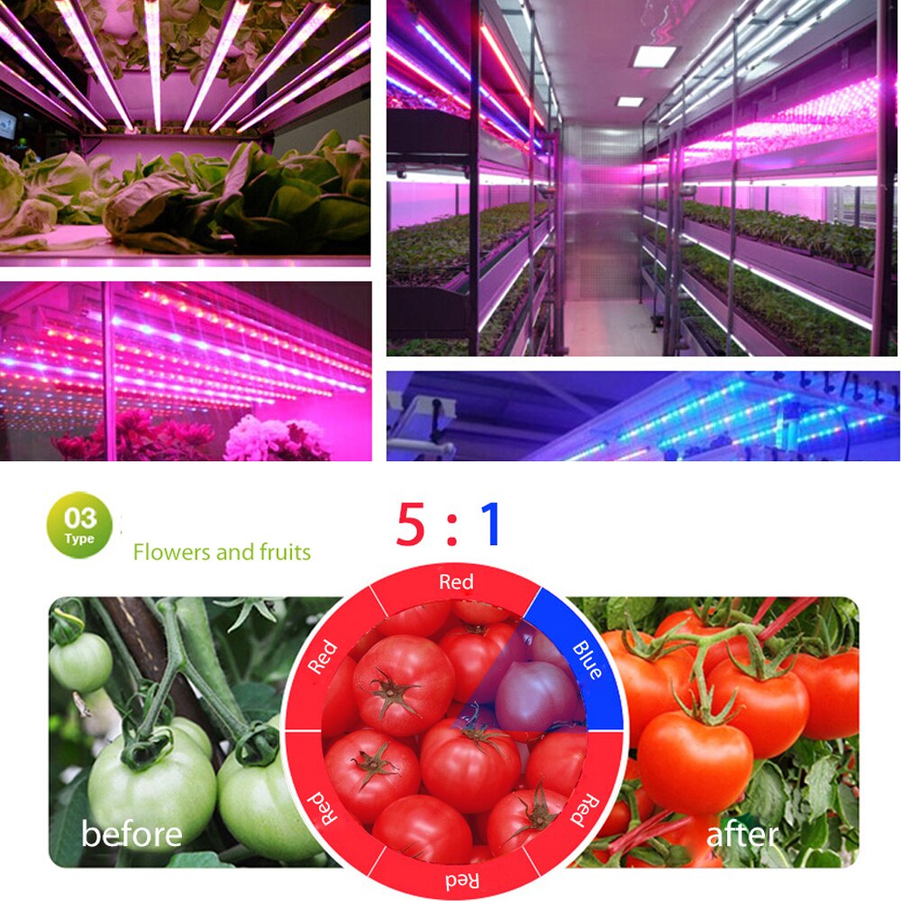5m led grow light strip fuld spektrum uv lamper til planter vandtæt phyto lampe rød bluetape til drivhus grow telt hydroponic