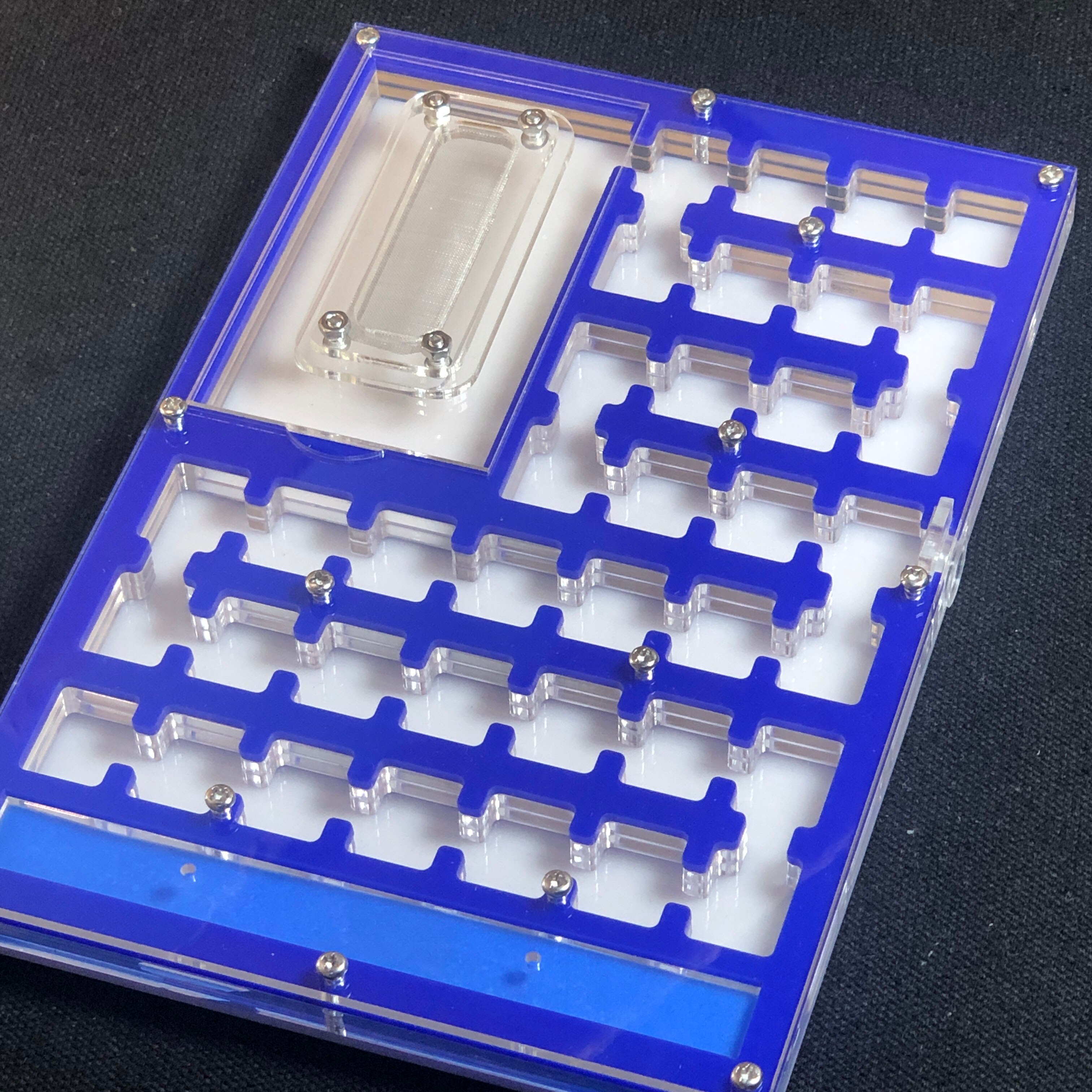 BIG Space Acrylic ant farm maze,Ant Nest with Feeding Area and moisturing zone Ant House for Pet Anthill: DEEPBLUE