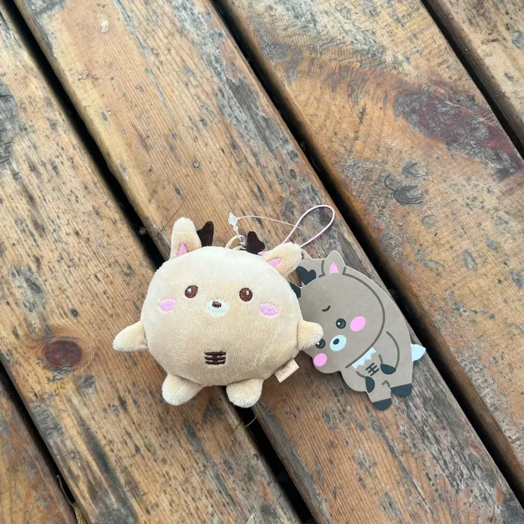 RIIZE Mini llavero de muñeco de peluche Riizing Fan Con Riizing Day Finale SHOTARO WONBIN EUNSEOK SUNGCHAN SOHEE ANTON llaveros: Verde