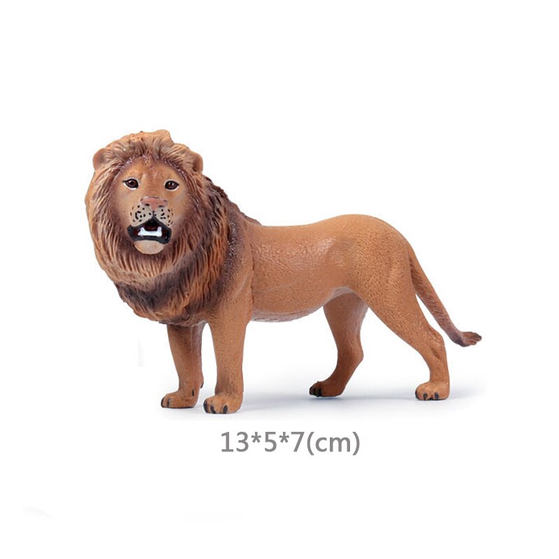 Wild Jungle Zoo Animal Model Malayan Tapir Anteater Koala Pangolin PVC Collection Model Action Figure Kid Educational Toys: Lion
