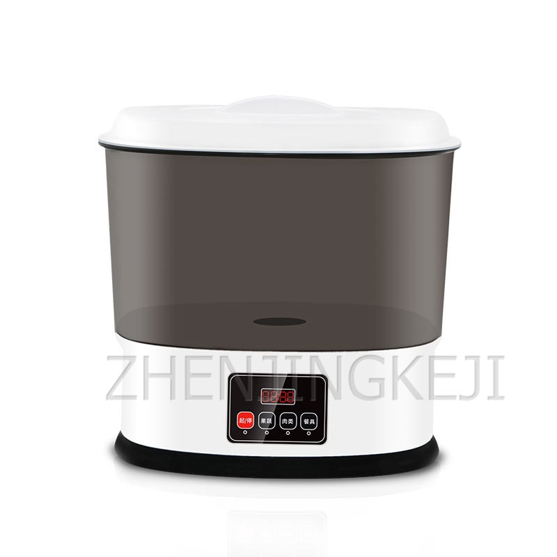 Fruit And Vegetable Detoxification Machine Home Use Food Purifier Disinfection Washing Machine Fully Automatic Ozone Sterilizer