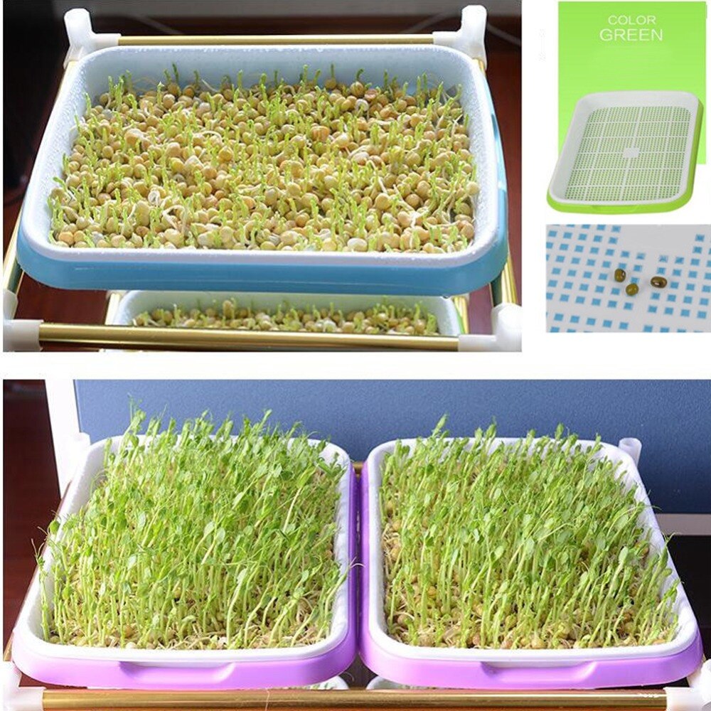 1 set dubbla lager böngroddar tallrik plantbricka planteringsrätter odla vete plantor plantskola krukor hem trädgård växtredskap