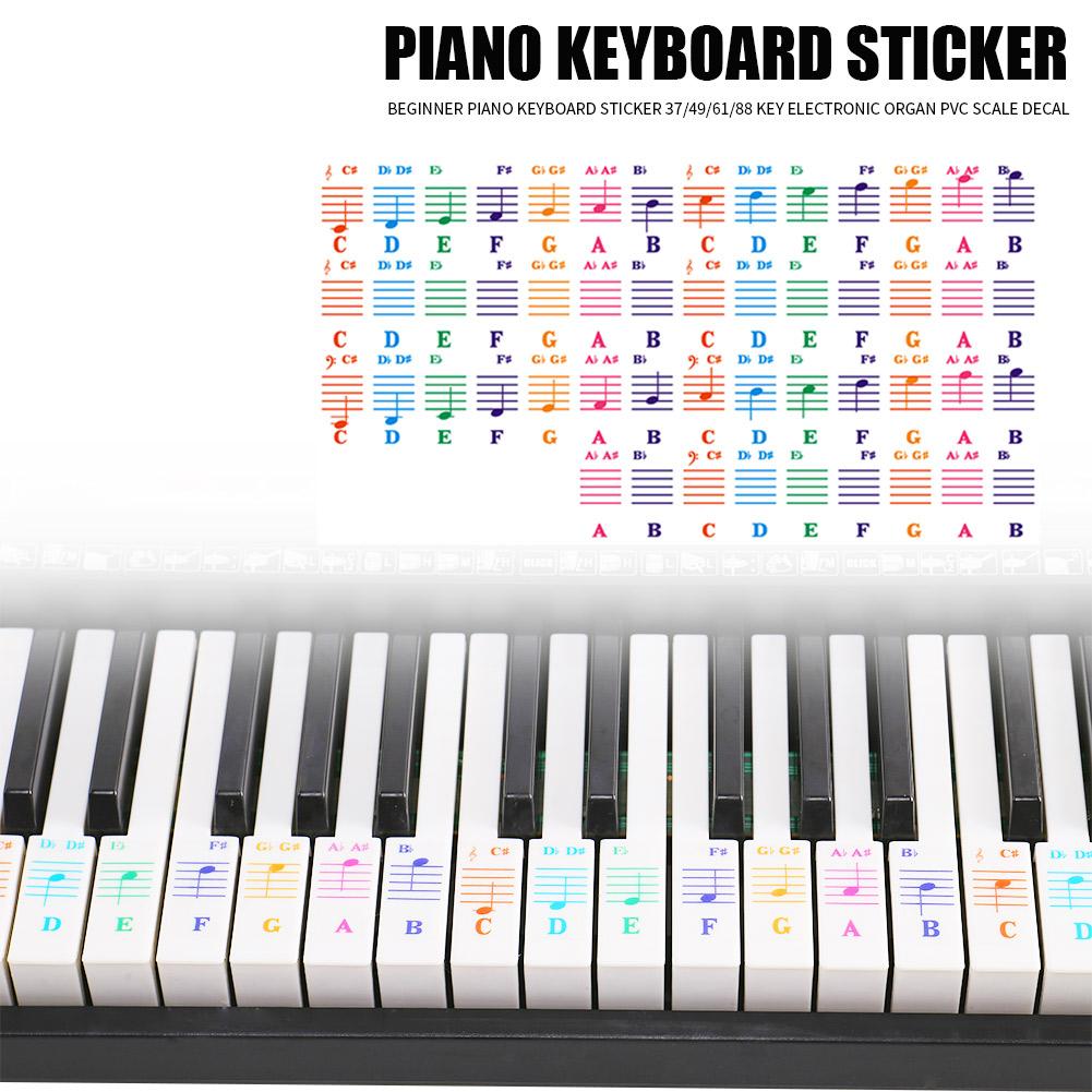 Durable Spectrum Keyboard Sticker Classic 25/49/61/76/88 Key Transparent Piano Keyboard Stave Note Sticker For Children