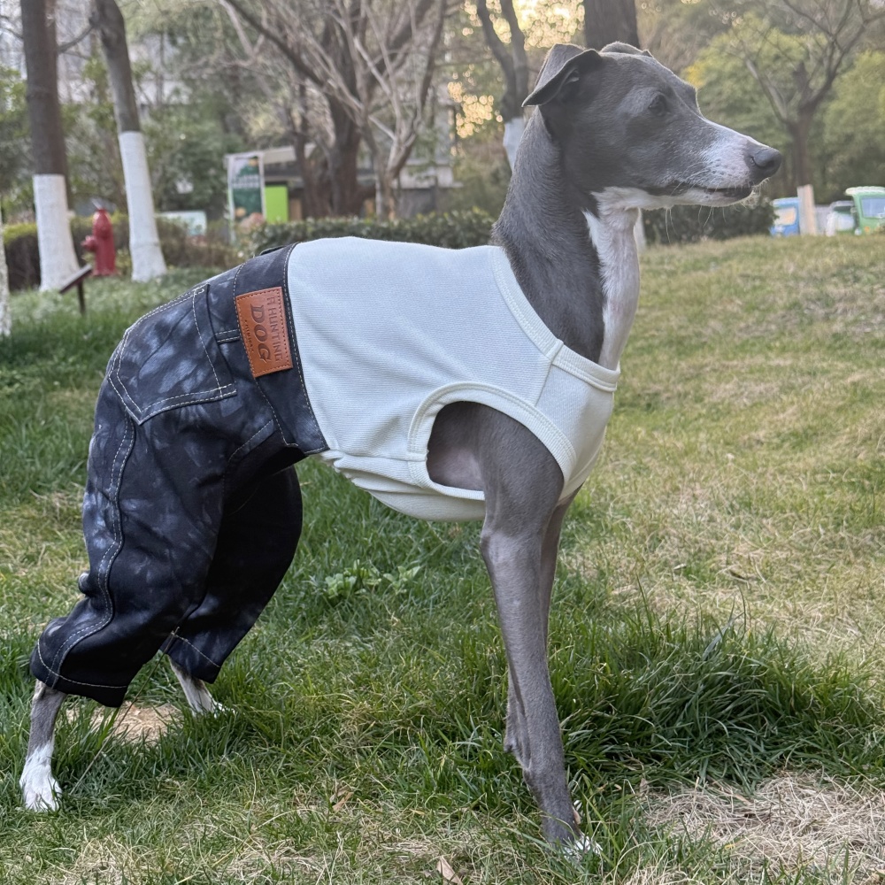 Costume O Mantello Deluxe Verde Smeraldo Per Adulti