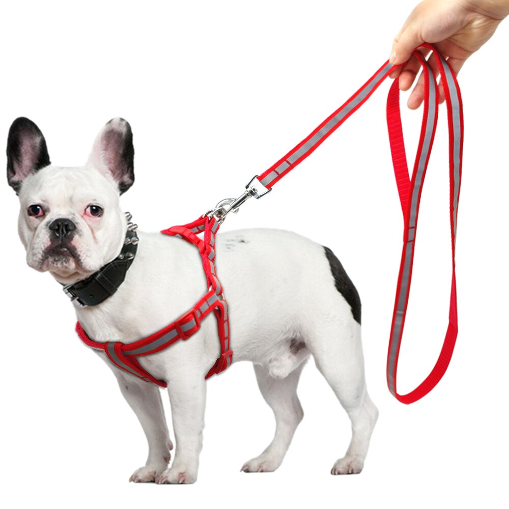 7 Colors Nylon Reflective Dog Harness Set S Yorkie Chihuahua Puppy Small Lead Leash Dogs Medium For M