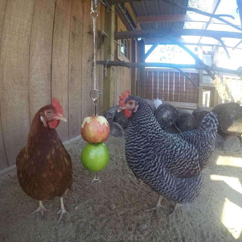 Vogel Kip Groenten Spies Voedsel Fruit Houder Voor Hens Opknoping Groente Feeder S22 20