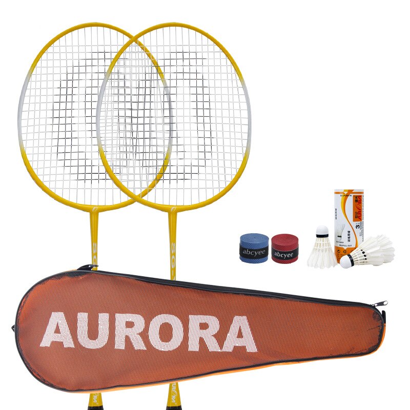 XQMax Volleybal- En Badmintonset - Met Verstelbaar Net, 4 Rackets, 2 Shuttles, Bal En Ballenpomp Draagtas 600 X 168 Cm