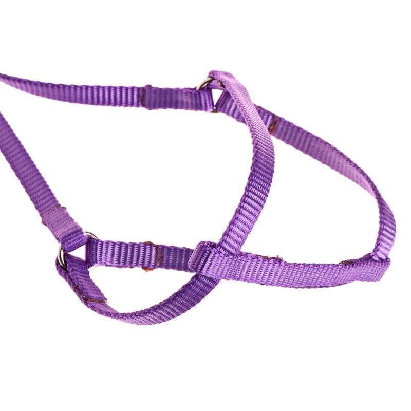 7 Colors Adjustable Bird Training Leash Portable Small Pets Walking Lead Rope Ultralight Flying Harness For Parrot Cat