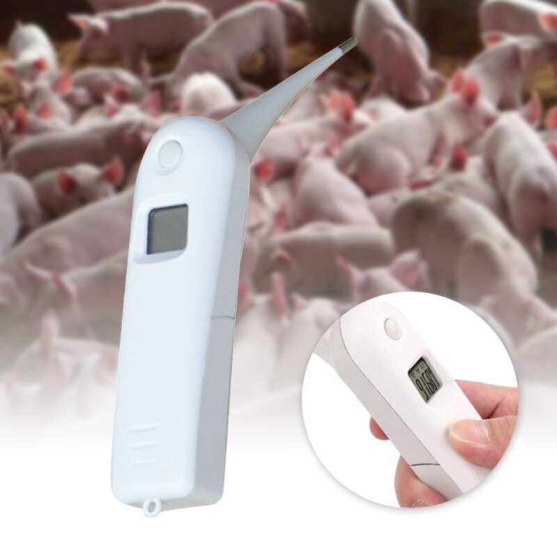 Thermomètre avec sonde pour animaux de compagnie, pour une détection précise de la température, adapté aux chats et chiens, écran LCD