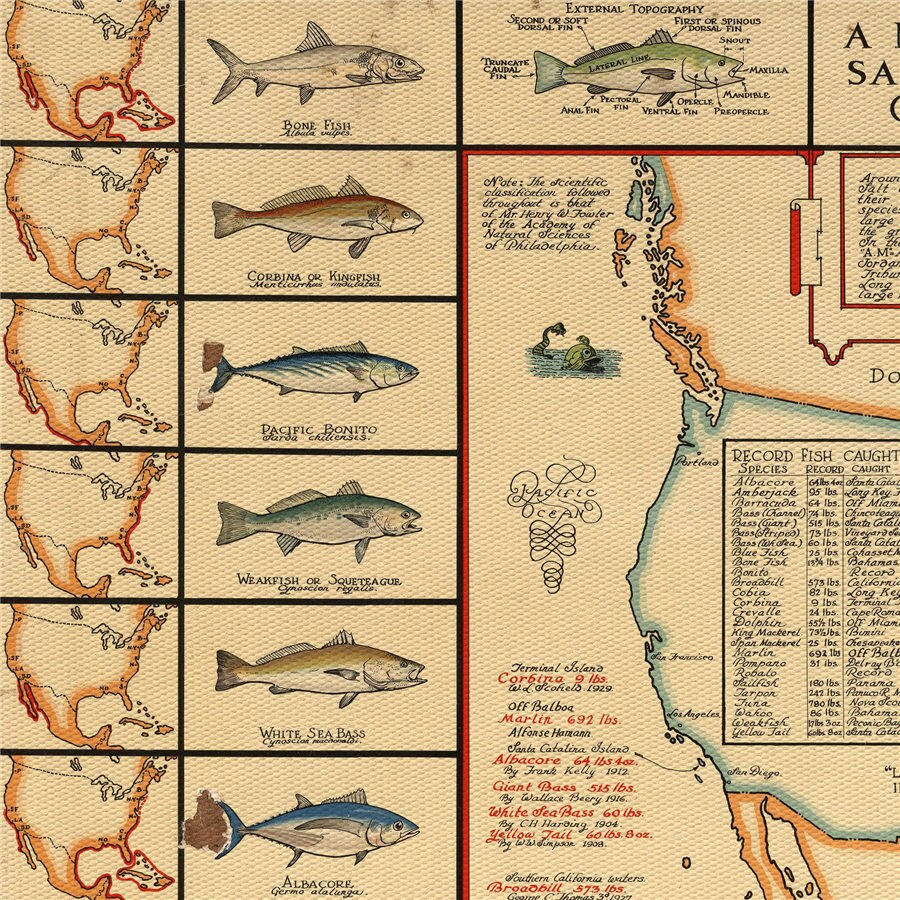 Poissons d'amérique du nord poisson graphique affiche pêcheur lac maison rétro autocollant mural Bar Pub salon décor à la maison