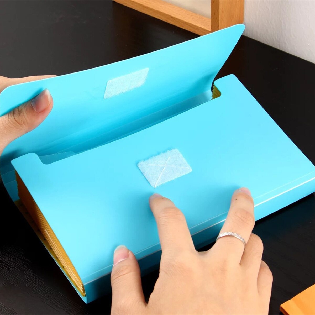 Portable A6 Expanding File Folder with 12 Pockets PP Accordian Document Organizer Bag Ticket Holder for Cards Receipts Checks