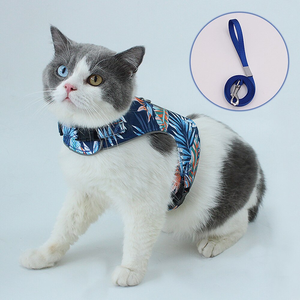 Polyester huisdier kat reflecterende mesh riem draagbare buiten huisdier kat hond wandelriem katten harnas uitschuifbare hondenriem touw: Blauw / Xs