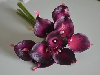 Calla Lilies Natural Real Touch Flowers Picasso Purple White Calla Lily For Wedding Bouquets Centerpieces: dark purple