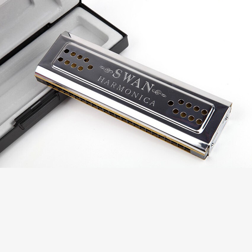 Swan Harmonica Double Tone 24 Double Holes Tremolo C & G Key Mouth Organ Wind Musical Instrument Kids & Adult