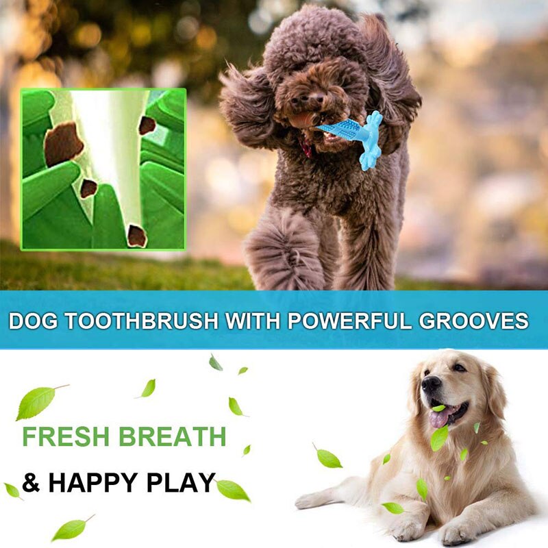 Hund tandborste hund molar stick gummi tandborste bit leksak hund tänder ren husdjur borsta tandvård apparat tugga leksak husdjur leverans