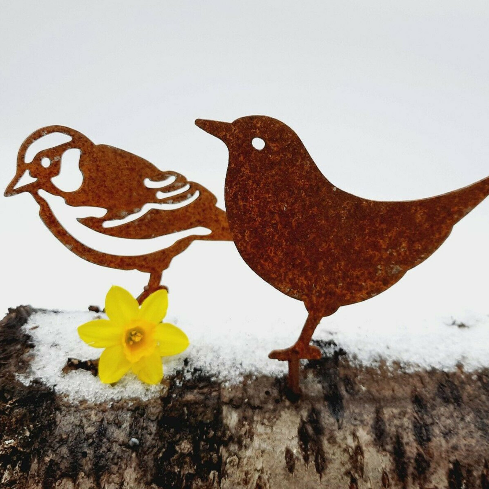 Miniterrario en miniatura de pájaro oxidado para jardín, adornos metálicos artesanales, decoración de jardín, gorriones, Robin