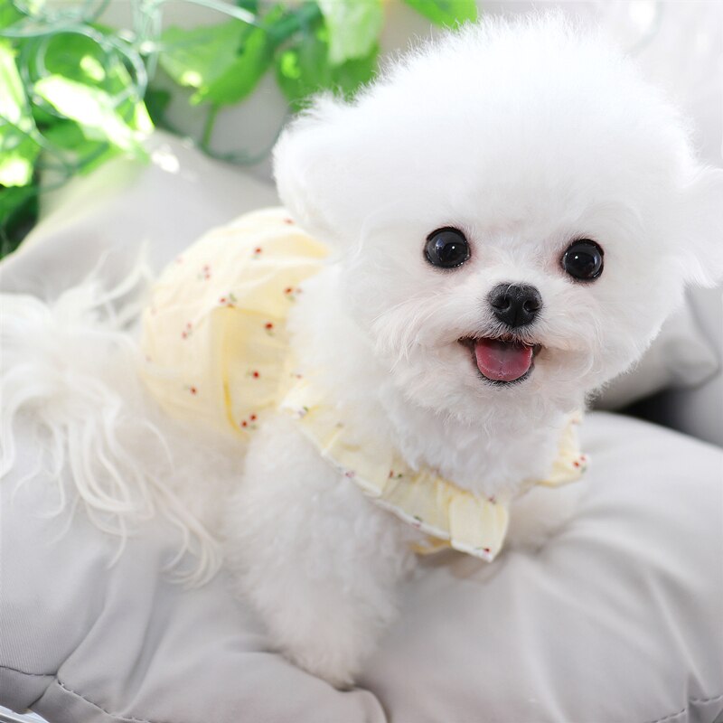 Teddy Rok Lente Zomer Puppy Dog Kleding Voor Pet Puppy Small Medium Honden Jurk Bichon Pommeren Yorkshire Katten Jurken