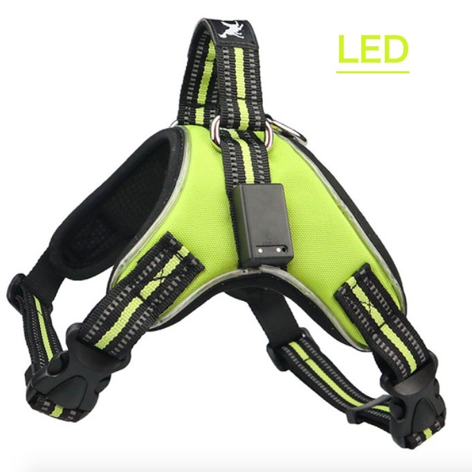 Oplaadbare Led Harness Voor Huisdieren Hond Tailup Nylon Led Knipperlicht Harnas Hond Kraag Huisdier Veiligheid Leash Riem Hond Accessoires: Green / M