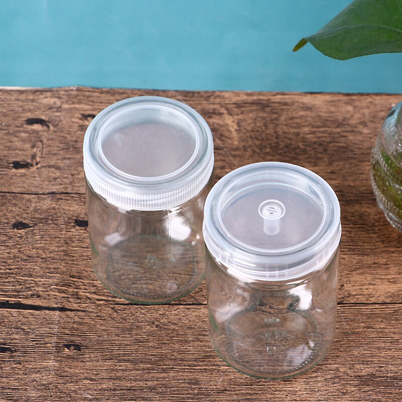 Piantine traspiranti della coltura del tessuto della pianta della copertura traspirante della piantina di vetro 1pc 350mL