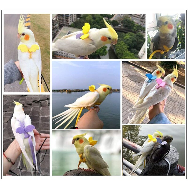 2m kæledyrs fuglesele og snor justerbare trækstropper til træningsreb til små papegøjer/papegøjer/cockatiel udendørs flyvende reb