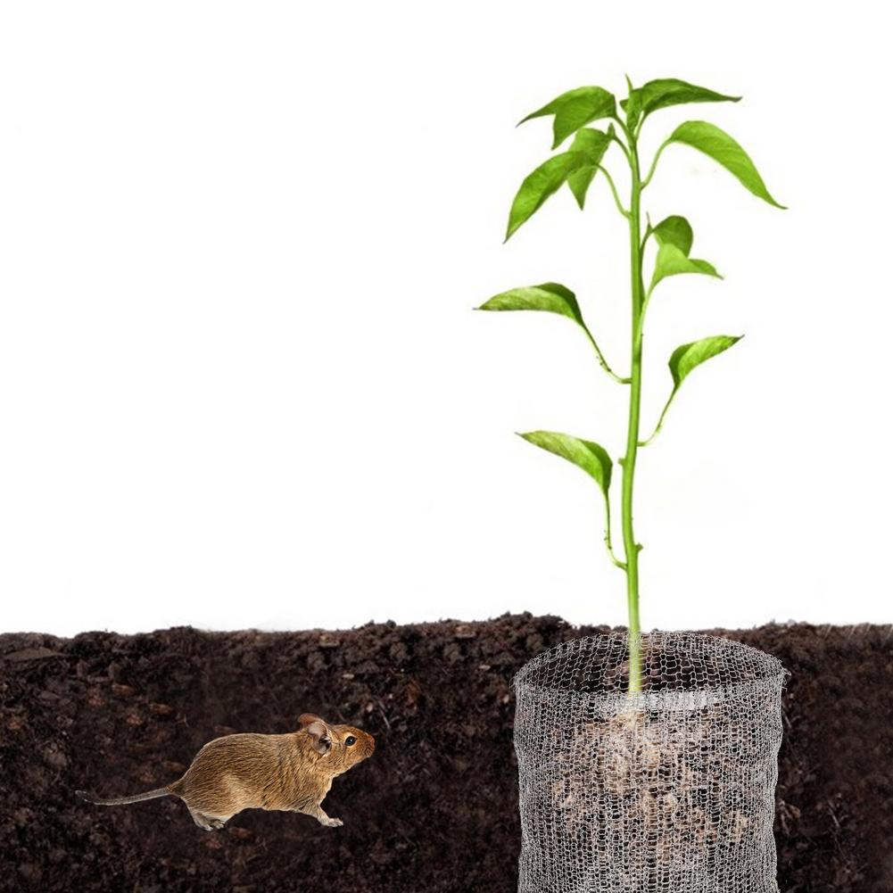 Metal Plant Mesh Bag Not Easy To Rust And Corrode For Root Protection Gopher Wire Basket Vole Insect And Mouse Control