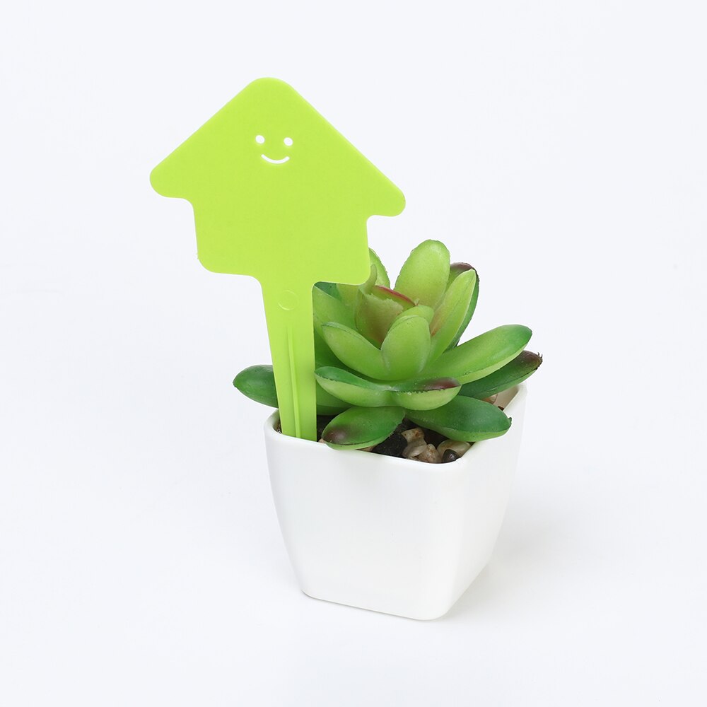 20/50 stk blomst stjerne hjerte form plante etiket planteskole potter planter blomst plante frøplante etiket markør planteskole plante tag have