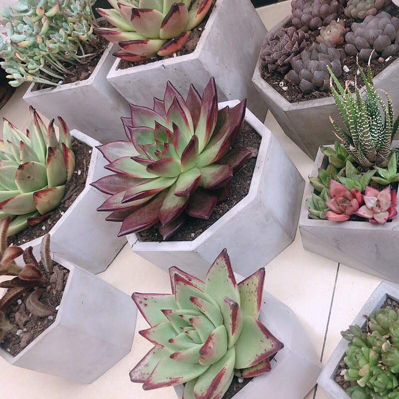 Concrete Molds Concrete Art Planter Pot Molds Silicone Flower Pot Molds Polygon Pot Molds