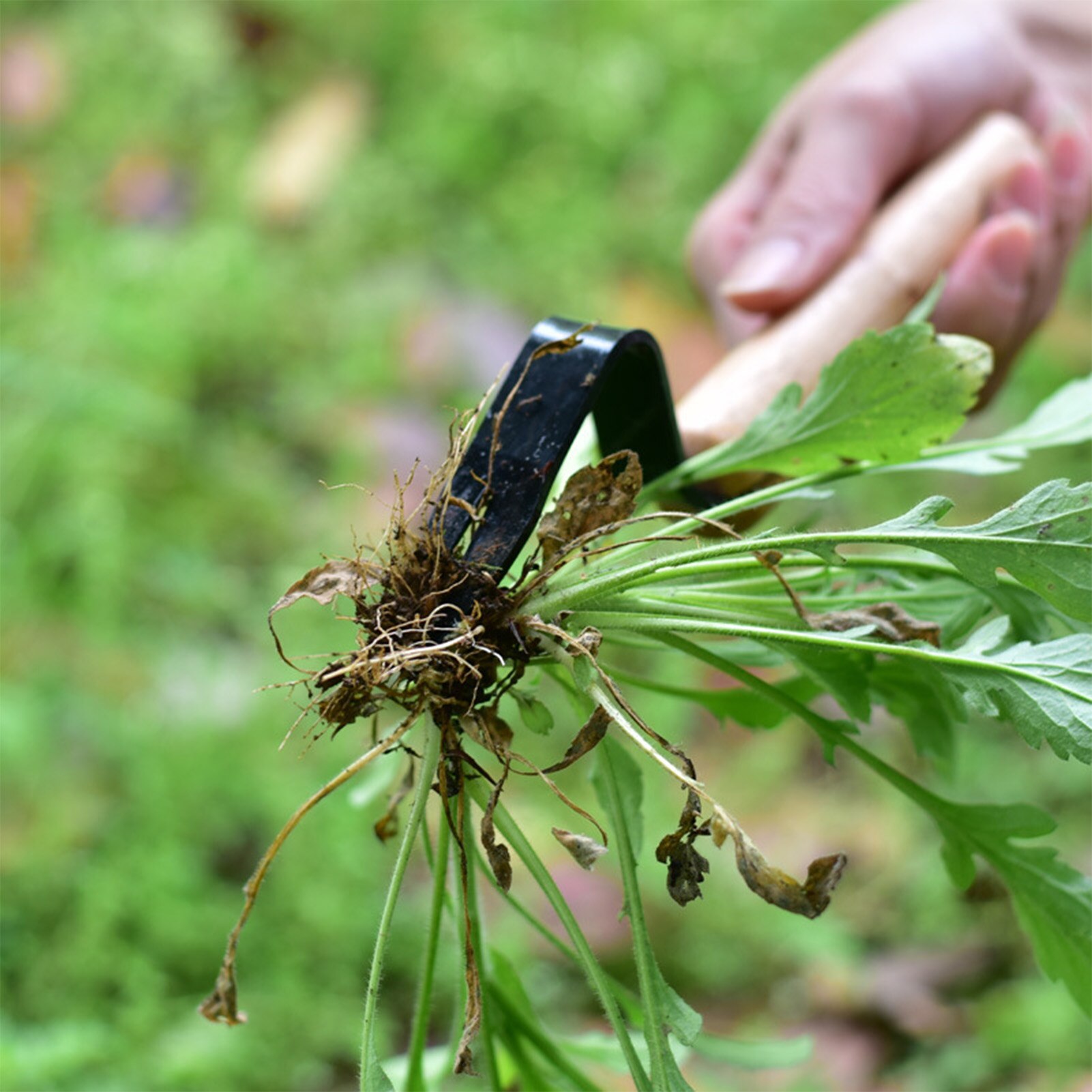 Handheld Manual Root Lifter Weeder Outdoor Garden ... – Vicedeal