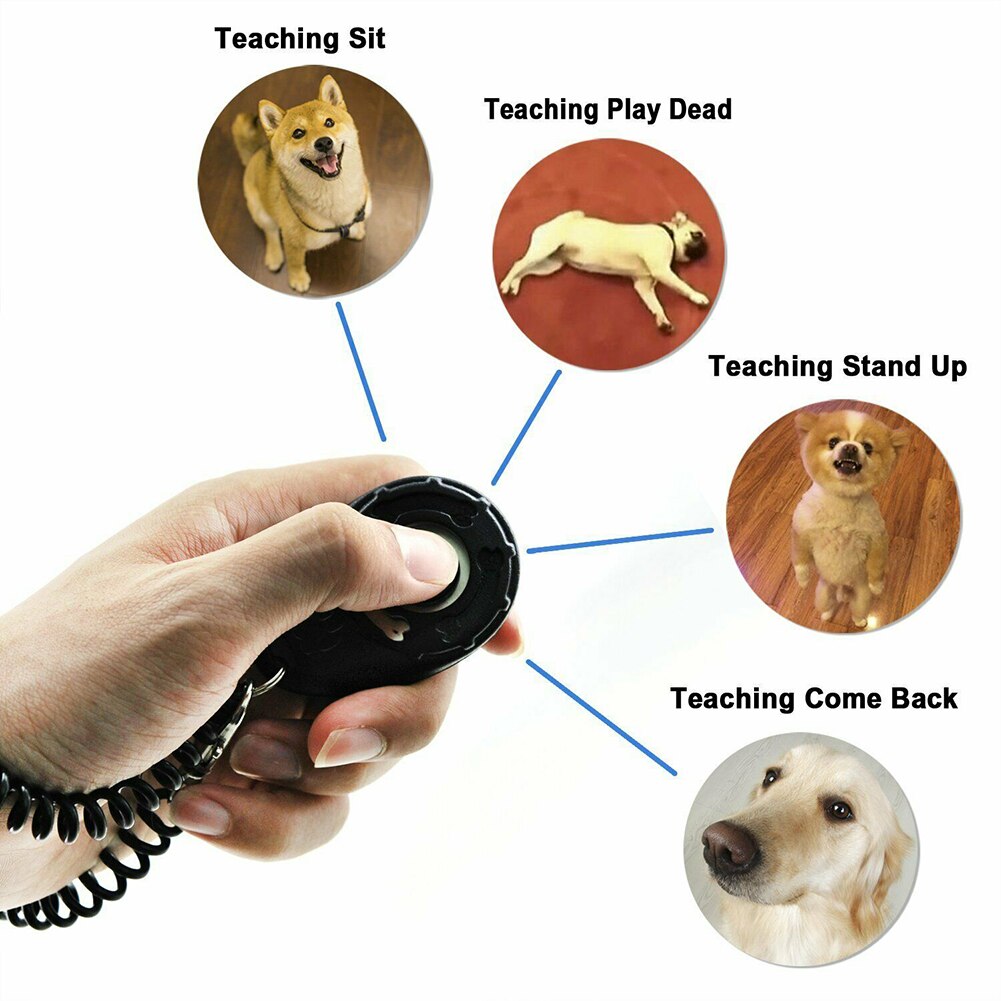 Bærbar oval form hunde tranining forsyning hund kæledyr klikker træningshjælp håndledsrem smart hund træningstilbehør