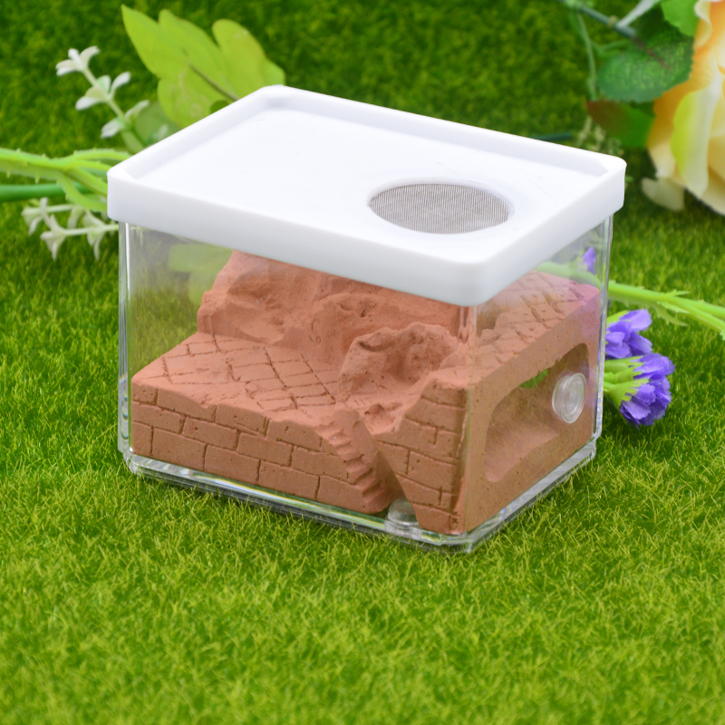 Ecological Plaster Ant Farm square Nest Landscaping Ant House Ant Nest Workshop Pet Anthill Insect Box 10.3*7.6*7.5cm: red