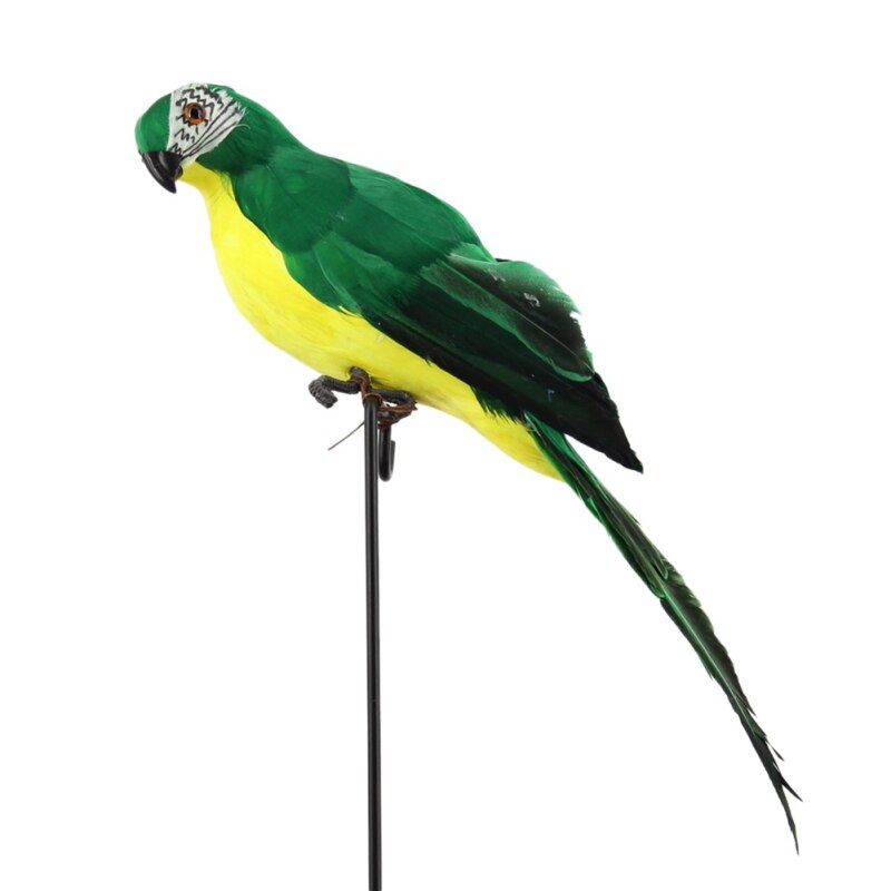 25 centimetri di Schiuma Piuma Pappagallo Simulazione Pappagalli Uccelli Decorativi Forniture Da Giardino Decorazione Della stanza Forniture per Animali Da Compagnia ..: verde