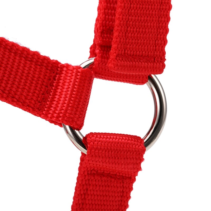 Adjustable Horse Riding Equipment Halter Horse Bridle with Bit and Rein Belt for Horse Equestrian Accessories Thicken Large